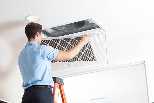 Best Affordable HVAC Services  in Cold Spring, MN
